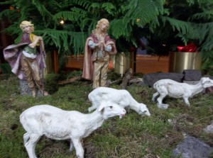 Nativity2015 007
