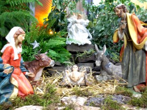 Nativity2015 009