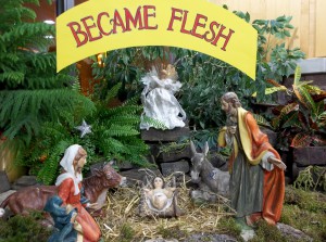 Nativity2015 019