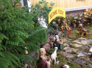 Nativity2015 022