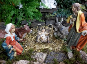 Nativity2015 023